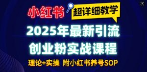 2025年最新小红书引流创业粉实战课程【超详细教学】小白轻松上手,月入1W+,附小红书养号SOP-梦想波浪
