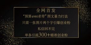 小红书神奇图片引流法,只需一张图,就能单条笔记凭借此方法,轻松引流 300 + 精准创业粉-梦想波浪