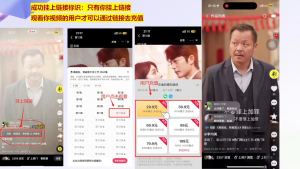 书阳老师·短剧运营变现之路-梦想波浪