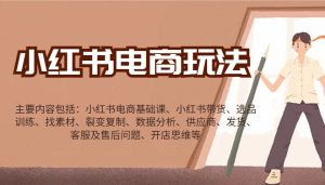 小红书电商玩法：带货/选品/找素材/裂变/数据分析/供应商/发货/售后/开店思维等-梦想波浪