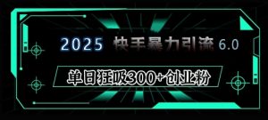 2025年快手6.0保姆级教程震撼来袭,单日狂吸300+精准创业粉-梦想波浪