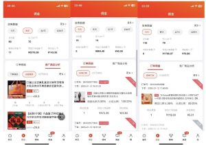 2025最新京东蓝海项目，0 门槛日入 1k+，小白宝妈轻松上手【揭秘】-梦想波浪