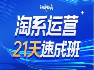 淘系运营21天速成班35期,年前最后一波和2025方向-梦想波浪