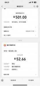 悟空评论截流玩法攻略，一个评论0.5.单号日产10可多号-梦想波浪