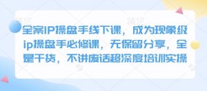 全案IP操盘手线下课，成为现象级ip操盘手必修课，无保留分享，全是干货，不讲废话超深度培训实操-梦想波浪
