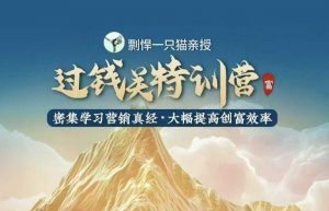 剽悍一只猫-过钱关特训营，学习营销真经 大幅度提高创富效率-梦想波浪