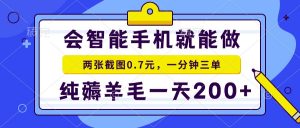 会智能手机就能做，两张截图0.7元，一分钟三单，纯薅羊毛一天200+-梦想波浪