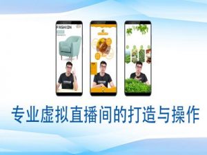 个人虚拟直播间的搭建与操作,专业虚拟直播间的打造与操作-梦想波浪