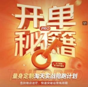 淘宝开单秘籍PRO，量身定制淘天实战陪跑计划，告别做店迷茫、快速突破运营瓶颈期-梦想波浪