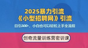 2025最新暴力引流方法，招聘平台一天引流300+，日变现多张，专业人士力荐-梦想波浪