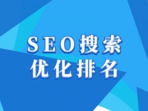 抖音搜索SEO教程，抖音SEO搜索优化排名-梦想波浪