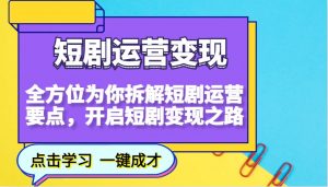 短剧运营变现,全方位为你拆解短剧运营要点,开启短剧变现之路-梦想波浪