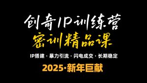 2025年“知识付费IP训练营”小白避坑年赚百万，暴力引流，闪电成交-梦想波浪