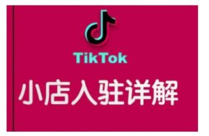 TikTok跨境小店运营全攻略,帮助你独立运营TK跨境小店的能力,实现销量增长-梦想波浪