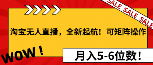 淘宝无人直播，全新起航！可矩阵操作，月入5-6位数！-梦想波浪