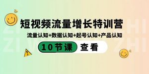 短视频流量增长特训营:流量认知+数据认知+起号认知+产品认知(10节课)-梦想波浪