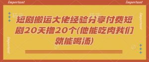 短剧搬运大佬经验分享付费短剧20天撸20个(他能吃肉我们就能喝汤)-梦想波浪