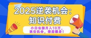 2025逆袭项目——知识付费，小白也能月入10万年入百万，抓住机会彻底翻…-梦想波浪