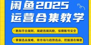 2025闲鱼电商运营全集,2025最新咸鱼玩法-梦想波浪