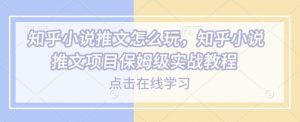 知乎小说推文怎么玩，知乎小说推文项目保姆级实战教程-梦想波浪
