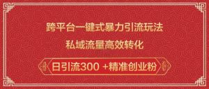 跨平台一键式暴力引流玩法,私域流量高效转化日引流300 +精准创业粉-梦想波浪