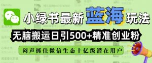 小绿书无脑搬运引流,全自动日引500精准创业粉,微信生态内又一个闷声发财的机会-梦想波浪