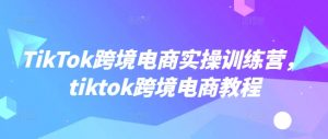 TikTok跨境电商实操训练营,tiktok跨境电商教程-梦想波浪