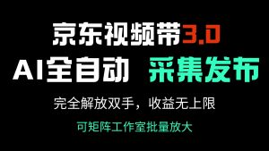 京东视频带货3.0，Ai全自动采集＋自动发布，完全解放双手，收入无上限…-梦想波浪