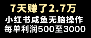 全网首发，7天赚了2.6万，2025利润超级高！-梦想波浪