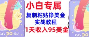 复制粘贴挣美金，0门槛，1天收入95美刀，3分钟学会，内部教程(首次公开)-梦想波浪