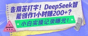 告别苦打字！DeepSeek智能创作1小时入2张？小白实操记录曝光-梦想波浪