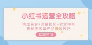 小红书运营全攻略，精准获客+流量优化+软文种草，揭秘高客单产品投放技巧-梦想波浪