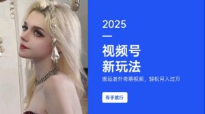 搬运老外奇葩视频,撸视频号分成计划收益,每天只需一小时,新手小白轻松月入过W-梦想波浪