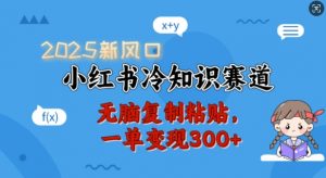 2025新风口,小红书冷知识赛道,无脑复制粘贴,一单变现300+-梦想波浪