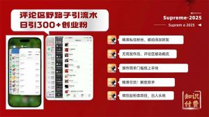 评论区野路子截流创业粉新方法，日被动加300+创业粉，精准引流被动添加…-梦想波浪