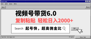 视频号带货6.0,轻松日入2000+,起号快,复制粘贴即可,超高佣金比-梦想波浪