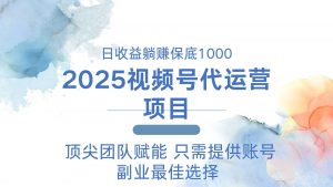 2025视频号代运营 日躺赚1000＋ 只需提供账号-梦想波浪