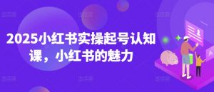 2025小红书实操起号认知课,小红书的魅力-梦想波浪