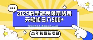 2025年初新项目快手短视频带货轻松日入500+-梦想波浪