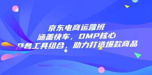 京东电商运营班：涵盖快车，DMP核心及各工具组合，助力打造爆款商品-梦想波浪