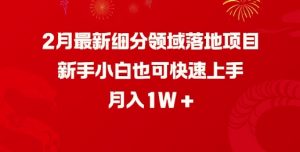 2月最新细分领域落地项目，新手小白也可快速上手，月入1W-梦想波浪