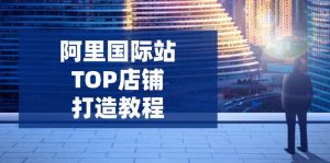 阿里国际站TOP店铺打造教程:涵盖平台到高阶,解决运营难题,提升询盘-梦想波浪