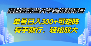 照抄答案当天学会的新项目,单号日入300 +可矩阵,有手就行,轻松放大-梦想波浪