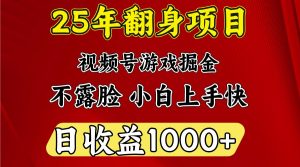 一天收益1000+ 25年开年落地好项目-梦想波浪