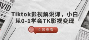 TikTok影视解说课，小白从0-1学会TK影视变现-梦想波浪