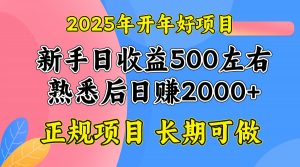 2025开年好项目，单号日收益2000左右-梦想波浪
