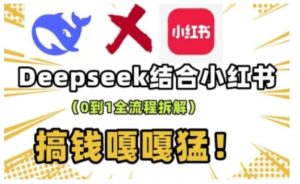 deepseek+小红书打造流量生产线实操课，0到1全流程拆解，搞钱嘎嘎猛-梦想波浪