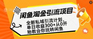 闲鱼淘金私域引流计划，从0开始玩转闲鱼，副业也可以挣到全职的工资-梦想波浪