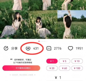 最新图虫搬运项目，收益无上限，利用AI小白也可日赚500+-梦想波浪