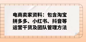 电商卖家资料：包含淘宝、拼多多、小红书、抖音等运营干货及团队管理方法-梦想波浪